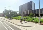 California Judge Orders Kars4kids to Stop Non-Compliant Ads