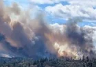 Evacuation alert issued near Sundre Fire as blaze grows