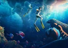 Anthony Gallegos Pushes Subnautica 2 Toward Blur and Horizon Fear — Subnautica Games