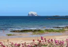 North Berwick tops Scotland seaside towns ahead of Tobermory