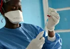 DR Congo Records 246 Suspected Ebola Cases, 65 Deaths in Ituri — Ebola Virus