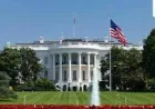 Thousands of Bees Swarm White House North Lawn, Move Into Tree Hive