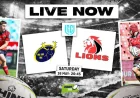 Munster Vs Lions: McMillan Eyes Result At Thomond Park