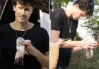 Shawn Mendes Shows Bloody Left-Hand Injury in Beverly Hills