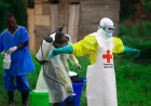 DRC Raises Burial Death Toll to 80 in Ebola Outbreak