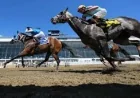 Golden Tempo Skips 2026 Preakness After Kentucky Derby Win — What Horse Won The Kentucky Derby