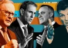 Hollie Hughes: Taylor says migrants are a net drain on Australia
