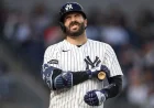 Austin Wells Stalls at .198 With 3 Homers, .661 OPS