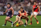 Dockers Bring Eight-Game Run to Essendon Vs Fremantle