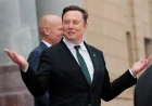 Trump China Visit Ceo Roster Brings More Than A Dozen CEOs