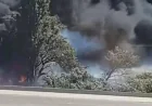 Corral Fire Reported in Los Angeles County on Friday — Wildfire