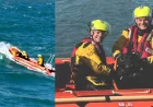RNLI volunteer rescues dog from rocks in Ilfracombe — Ilfracombe Lifeboat Dog Rescue
