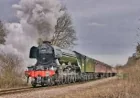 Great Central Railway welcomes Flying Scotsman back to Nottingham