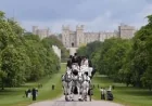 Soldier Dies After Fall at Royal Windsor Horse Show