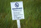 Ontario Ticks Reports Jump More Than 40 Per Cent