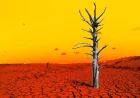 NOAA projects 4.5 degrees above normal by November — Channel 3000 Weather