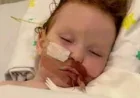 Crumb Australia Recalled Five Powders After Toddler Injury — Creative Metallic Cake Dust Recall