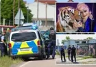 Carmen Zander tiger shot dead near Leipzig after 72-year-old attack
