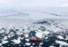 Larter Says Thwaites Ice Shelf Could Detach Suddenly
