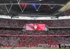 Sir Tom Courtenay Backs Hull City Ahead of Wembley Final — Hull City Wembley Ticket Sales