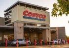Costco Agio-menlo Swing Recall Hits 18,500 Over Seat Detachment