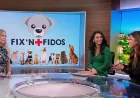 Kacey Montoya appears on Good Day LA after KTLA firing — Ktla