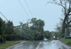 Michigan Storms Leave Outages Across the Dte Outage Map