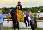 Napoleon Solo Wins Preakness Stakes in 14-Horse Laurel Park Run