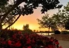 Environment Canada Issues 31 Weather Windsor Heat Warning