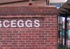 Police investigate Sceggs pipe bomb allegation in Darlinghurst