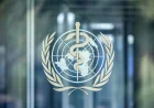 WHO declares Ebola emergency in Congo, Uganda — Ny Times