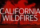 Verona Fire Burns Nearly 10 Acres North of Homeland