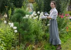 Sarah Eberle wins Chelsea flower show top prize, Perennial prize