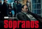 The Sopranos Alum Al Sapienza Joins Brick City Cast