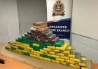 Edmonton police seize $8 million in drugs in Edmonton News probe