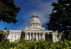 Bruce Willis Spurs California Push for FTD Tracking
