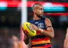 Callum Ah Chee presses for Hawthorn return after two months