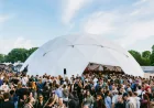 Saoirse Returns for Third Gala Festival Set on Saturday