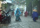 Bao: Hà Nội 34-36 độ, đồng bằng Bắc Bộ trên 36 độ