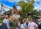 Ontario Man Faces Canadian Man Disney Battery Charge After Disney Arrest