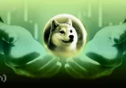 Visser Sees Doge Bitcoin Rally Toward Year-End High