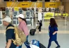 Spirit Airlines Halts Operations as Low-cost Carrier Aid Collapses