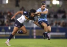Allan Alaalatoa reaches 150 in Waratahs Vs Brumbies clash