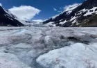RCMP says 38-year-old dies after Jasper crevasse fall