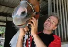 Shane Mcgovern Jockey Dies After Charters Towers Trackwork Accident
