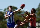 North Melbourne Vs Gold Coast: Suns Bring 7-3 Record Into Marvel Stadium