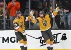 Fluto Shinzawa Urges Bruins To Target Rasmus Andersson