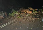 USGS Upgrades Hawaii Earthquake to 6.0, No Tsunami Threat