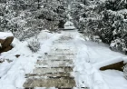 Manitou Springs Officials Close Manitou Incline, Deputies Cite Medical Emergency