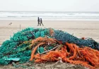 Canada seeks proposals for ghost gear cleanup with Vocm funds